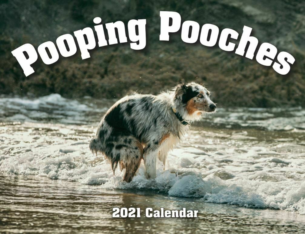 2021 Pooping Pooches Dog Calendar, White Elephant Gag Gift Exchange Yankee Swap