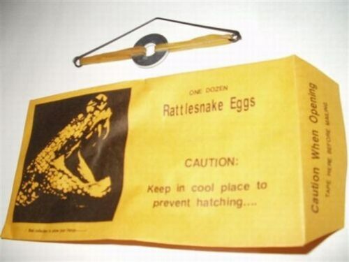 (10) Rattlesnake Egg Envelopes - Classic Gag Prank Joke Toy Noise Maker FUNNY!
